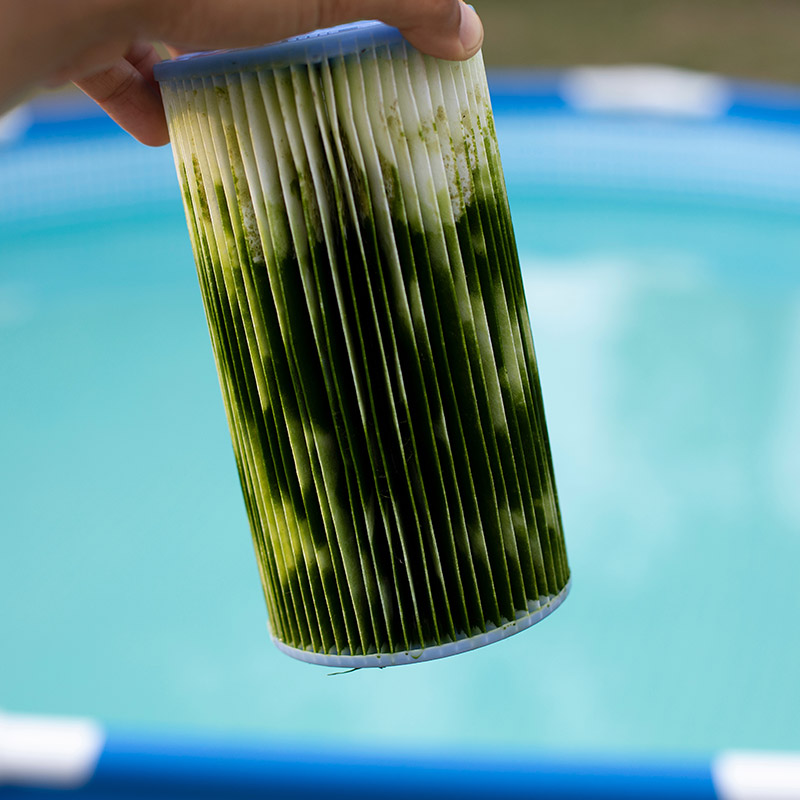 acqua torbida piscina
