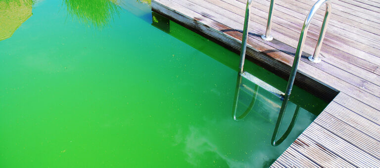acqua verde in piscina